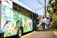 Oahu Circle Island Tour with Scenic Stops thumbnail 3