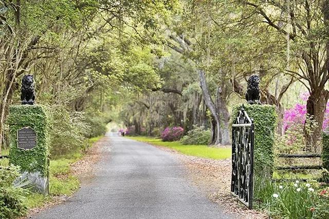 Charleston Private Plantation Tour with Lunch - Image 1