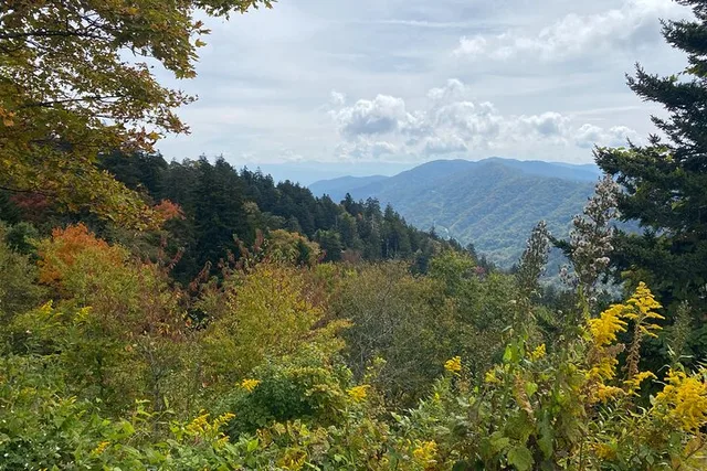 Great Smoky Mountains Driving Tour - Image 1