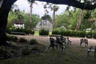 Whitney Plantation Tour with Transportation thumbnail 4