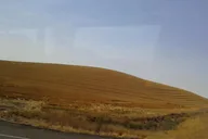 Washington Agriculture Tour thumbnail 5