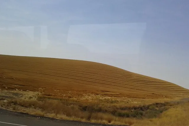 Washington Agriculture Tour - Image 5