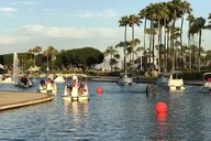 Los Angeles Swan Boat Rental at Echo Park Lake thumbnail 6