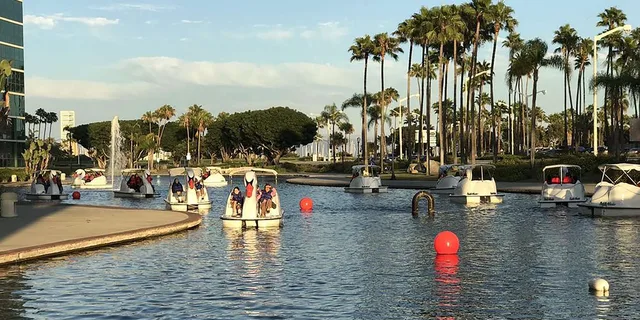 Los Angeles Swan Boat Rental at Echo Park Lake - Image 6