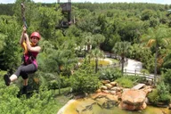 Orlando Gatorland Zipline Adventure 1.5 hr thumbnail 1