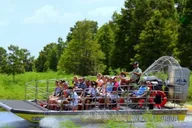 Orlando City Tour with Airboat Ride thumbnail 1