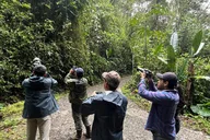 Ecuador Birding Photo Tour Andes to Amazon 10 Days thumbnail 4