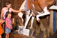 San Antonio Explorer Pass with 25+ Attractions thumbnail 5