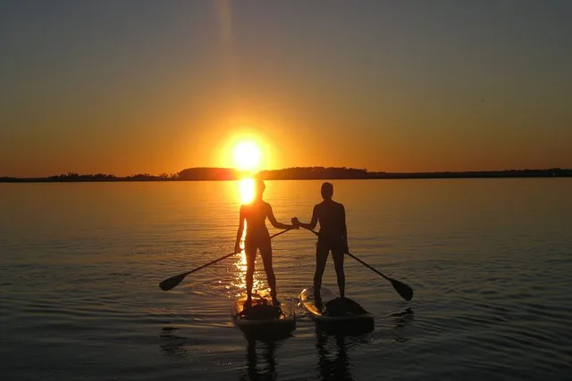 Charleston Stand-Up Paddleboard Eco Tour 2 hr - Image 3