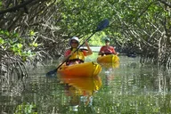 Fort Myers Kayak or SUP Rental 3hr thumbnail 1