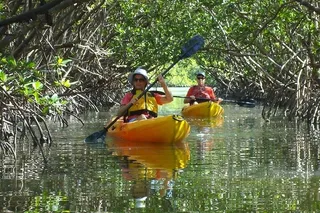 Fort Myers Kayak or SUP Rental 3hr