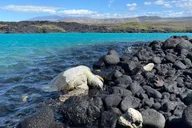 Kailua-Kona Coast Hike and Swim thumbnail 2