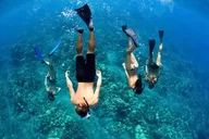 Maui Catamaran Snorkel with Turtles & Tacos thumbnail 3
