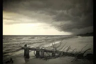 Naples Private Beach or Sunset Boat Tour thumbnail 5