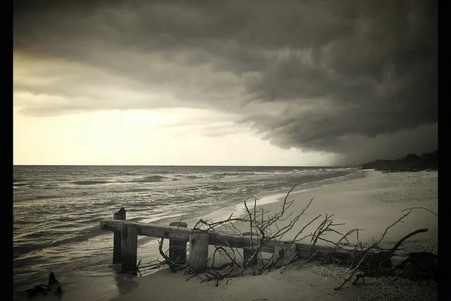 Naples Private Beach or Sunset Boat Tour - Image 5