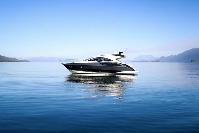 Private Whale Watch in Your Own Yacht 4 hr - Image 4