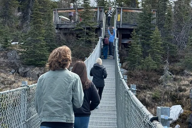 Skagway Suspension Bridge and Valley Tour - Image 3