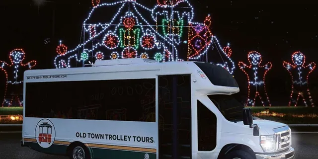 Charleston Holiday Festival of Lights Tour - Image 6