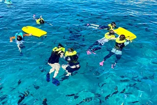 Waikiki Turtle Snorkeling Tour