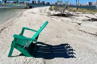 Clearwater Dolphin Cruise and Island Adventure thumbnail 6