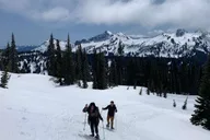 Seattle Mt. Rainier National Park Guided Tour thumbnail 3