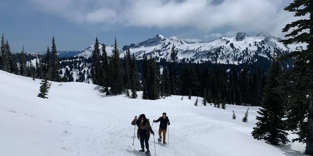 Seattle Mt. Rainier National Park Guided Tour - Image 3