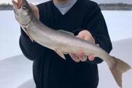 Fairbanks Ice Fishing Tour in Heated Cabin thumbnail 6
