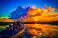 Fort Lauderdale Airboat Tour in the Everglades 2 hr thumbnail 6