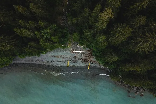 Seward Kayak Tour at Tonsina Point - Image 3