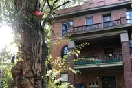 Louisville Old Louisville Walking Tour thumbnail 3