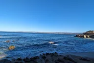 Monterey Scavenger Hunt on Cannery Row thumbnail 5