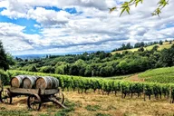 Willamette Valley Wine Tour thumbnail 4