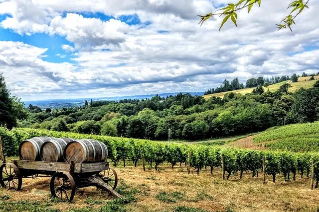 Willamette Valley Wine Tour - Image 4