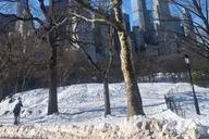 New York City Manhattan Highlights Tour 2 hr thumbnail 2