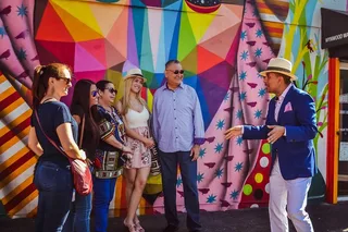 Miami City Tour of Wynwood and Little Havana