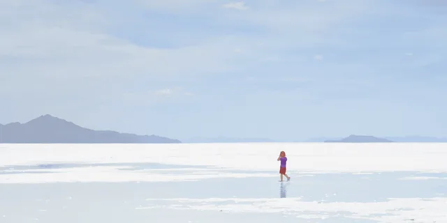 Salt Lake City Bonneville Salt Flats Tour - Image 1