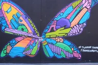 Tijuana Urban Art Walk from San Diego thumbnail 3
