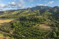 Oahu Cacao Orchard Tour 90 min thumbnail 2