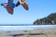 San Francisco Alcatraz and Muir Woods Private Tour thumbnail 2