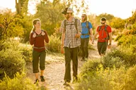 Scottsdale Sonoran Desert Guided Hike 2 hr thumbnail 2