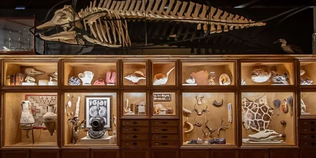 Houston Museum of Natural Science Admission - Image 5