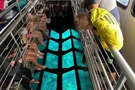 Key Largo Coral Reef Park and Sunset Tour thumbnail 3