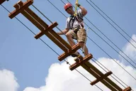 Orlando Gatorland Zipline Adventure 1.5 hr thumbnail 4