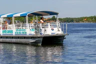 Crystal River Manatee Viewing and Sightseeing Boat Tour thumbnail 2