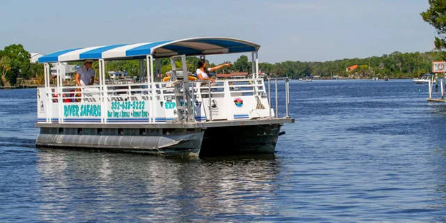 Crystal River Manatee Viewing and Sightseeing Boat Tour - Image 2