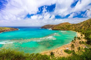Oahu Grand Circle Island Tour