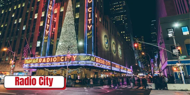 New York City Pedicab Tour of Broadway and City Lights 40 Min - Image 6