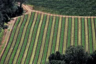 Napa Valley Airplane Flight Tour thumbnail 2