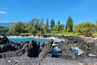 Maui Private Tour with Mercedes S-Class thumbnail 6