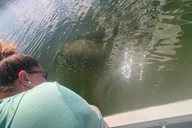 Crystal River Manatee Boat Tour thumbnail 5